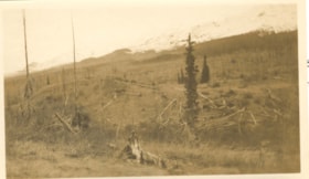 Unknown logged area. (Images are provided for educational and research purposes only. Other use requires permission, please contact the Museum.) thumbnail