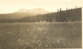 Destingay Mountain from Clua Tahn Skeena.. (Images are provided for educational and research purposes only. Other use requires permission, please contact the Museum.) thumbnail