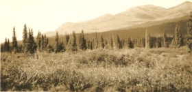Between Skeena and Stikine River. (Images are provided for educational and research purposes only. Other use requires permission, please contact the Museum.) thumbnail