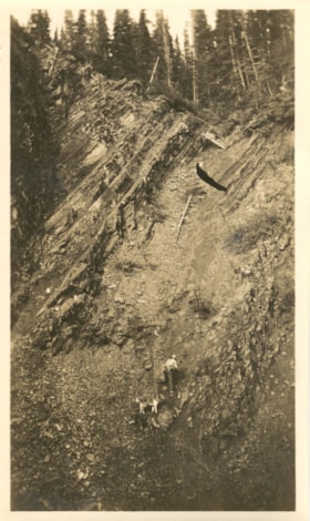 Hankin Creek coal. (Images are provided for educational and research purposes only. Other use requires permission, please contact the Museum.) thumbnail