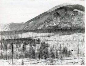 [New Hazelton, B.C.?]. (Images are provided for educational and research purposes only. Other use requires permission, please contact the Museum.) thumbnail
