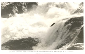 Salmon Jumping Moricetown Falls on Bulkley River. (Images are provided for educational and research purposes only. Other use requires permission, please contact the Museum.) thumbnail