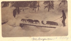 Dog sled at Evelyn with load of furs. (Images are provided for educational and research purposes only. Other use requires permission, please contact the Museum.) thumbnail