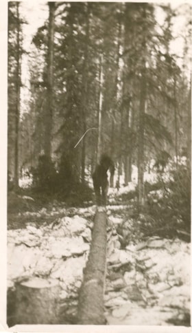 Logging trees in winter. (Images are provided for educational and research purposes only. Other use requires permission, please contact the Museum.) thumbnail