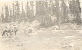 Unidentified man crossing river with four horses. (Images are provided for educational and research purposes only. Other use requires permission, please contact the Museum.) thumbnail