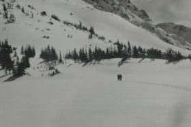 Cronin Basin, Spring 1947. (Images are provided for educational and research purposes only. Other use requires permission, please contact the Museum.) thumbnail