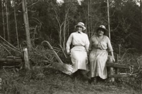 Two women posing on a fence. (Images are provided for educational and research purposes only. Other use requires permission, please contact the Museum.) thumbnail
