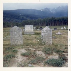 Guru and Halver Gunderson tombstones in Smithers Cemetery. (Images are provided for educational and research purposes only. Other use requires permission, please contact the Museum.) thumbnail
