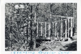 Construction of cabin at Reiseter Creek Camp. (Images are provided for educational and research purposes only. Other use requires permission, please contact the Museum.) thumbnail