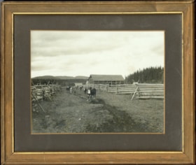 Pioneer Ranch, North Bulkley, B.C., near Hazelton, early 1900s. (Images are provided for educational and research purposes only. Other use requires permission, please contact the Museum.) thumbnail