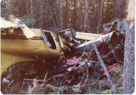 Crash of Emil Mesich's plane. (Images are provided for educational and research purposes only. Other use requires permission, please contact the Museum.) thumbnail