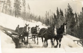 Al Bannister with pull horses on the switchbacks to Duthie Mine. (Images are provided for educational and research purposes only. Other use requires permission, please contact the Museum.) thumbnail