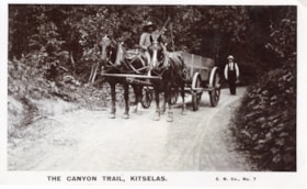The canyon trail, Kitselas. (Images are provided for educational and research purposes only. Other use requires permission, please contact the Museum.) thumbnail