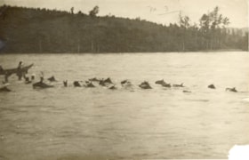 Herding horses across a river. (Images are provided for educational and research purposes only. Other use requires permission, please contact the Museum.) thumbnail