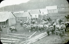 Pack train, [Kispiox, B.C?]. (Images are provided for educational and research purposes only. Other use requires permission, please contact the Museum.) thumbnail