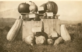 Group of prize vegetables. (Images are provided for educational and research purposes only. Other use requires permission, please contact the Museum.) thumbnail
