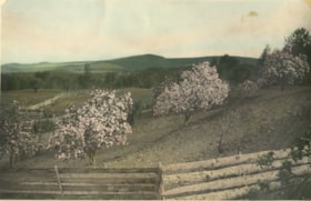 Apple orchard at Gilbert farm. (Images are provided for educational and research purposes only. Other use requires permission, please contact the Museum.) thumbnail