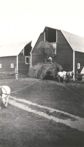 Loading hay into the Gilbert barn. (Images are provided for educational and research purposes only. Other use requires permission, please contact the Museum.) thumbnail
