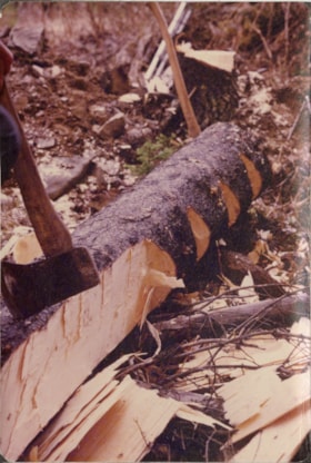 Log being prepared for tie hacking. (Images are provided for educational and research purposes only. Other use requires permission, please contact the Museum.) thumbnail