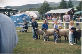 4H children with sheep at Fall Fair. (Images are provided for educational and research purposes only. Other use requires permission, please contact the Museum.) thumbnail
