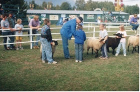 4H children with sheep at Fall Fair (2). (Images are provided for educational and research purposes only. Other use requires permission, please contact the Museum.) thumbnail