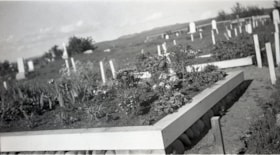 Graveyard. (Images are provided for educational and research purposes only. Other use requires permission, please contact the Museum.) thumbnail