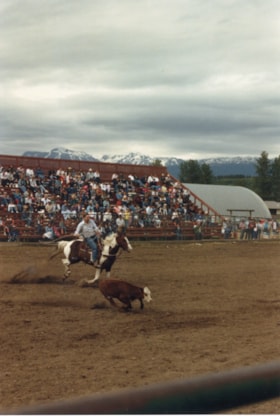 Calf-roping at Bulkley Valley Rodeo. (Images are provided for educational and research purposes only. Other use requires permission, please contact the Museum.) thumbnail