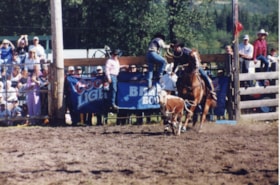 Calf roping at Fall Fair rodeo. (Images are provided for educational and research purposes only. Other use requires permission, please contact the Museum.) thumbnail