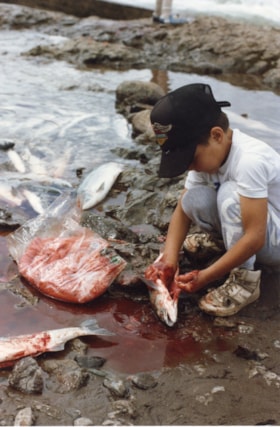 Boy gutting fish at Widzin Kwah Canyon. (Images are provided for educational and research purposes only. Other use requires permission, please contact the Museum.) thumbnail