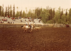 Calf-roping at YRCA rodeo. (Images are provided for educational and research purposes only. Other use requires permission, please contact the Museum.) thumbnail