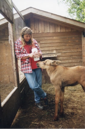 Angelika Langen with rescued moose calf. (Images are provided for educational and research purposes only. Other use requires permission, please contact the Museum.) thumbnail