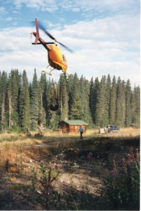 Bear being airlifted by helicopter. (Images are provided for educational and research purposes only. Other use requires permission, please contact the Museum.) thumbnail