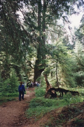 Girl Guides in a forest on Haida Gwaii. (Images are provided for educational and research purposes only. Other use requires permission, please contact the Museum.) thumbnail