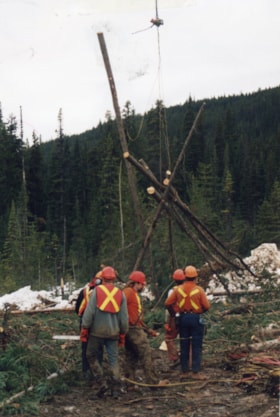 Beetle-infested timber being lifted by helicopter. (Images are provided for educational and research purposes only. Other use requires permission, please contact the Museum.) thumbnail