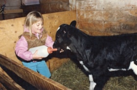 Calf-feeding on Koldyk family farm. (Images are provided for educational and research purposes only. Other use requires permission, please contact the Museum.) thumbnail