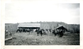 Bob and Jack with survey horses. (Images are provided for educational and research purposes only. Other use requires permission, please contact the Museum.) thumbnail