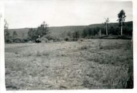 A haying scene. (Images are provided for educational and research purposes only. Other use requires permission, please contact the Museum.) thumbnail