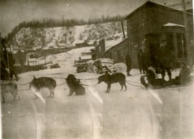 Dog Sledding Team. (Images are provided for educational and research purposes only. Other use requires permission, please contact the Museum.) thumbnail