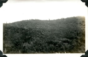 Aunt Mary Standing On Edge Of Kitwanga Canyon. (Images are provided for educational and research purposes only. Other use requires permission, please contact the Museum.) thumbnail