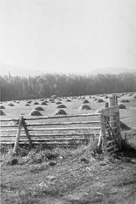 Haystacks in field, Pioneer Ranch. (Images are provided for educational and research purposes only. Other use requires permission, please contact the Museum.) thumbnail