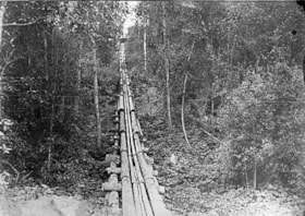 Logging flume amidst the trees. (Images are provided for educational and research purposes only. Other use requires permission, please contact the Museum.) thumbnail