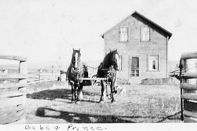 'Babe + Prince' in front of Houston Mission House. (Images are provided for educational and research purposes only. Other use requires permission, please contact the Museum.) thumbnail