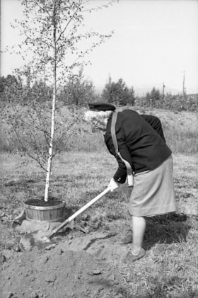Woman planting tree on Canada Day, Houston. (Images are provided for educational and research purposes only. Other use requires permission, please contact the Museum.) thumbnail