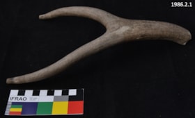 Antler. (Images are provided for educational and research purposes only. Other use requires permission, please contact the Museum.) thumbnail