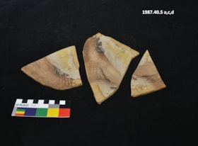 Salmonid fossil. (Images are provided for educational and research purposes only. Other use requires permission, please contact the Museum.) thumbnail