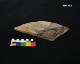 Vertebrate fossil. (Images are provided for educational and research purposes only. Other use requires permission, please contact the Museum.) thumbnail