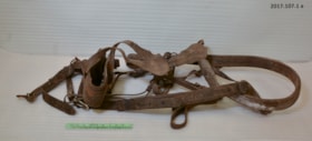 Harness. (Images are provided for educational and research purposes only. Other use requires permission, please contact the Museum.) thumbnail